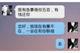 庄河为什么选择专业追讨公司来处理您的债务纠纷？